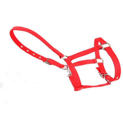 Horse Halter