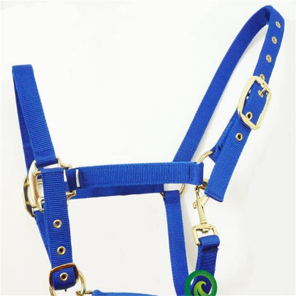 Horse Halter