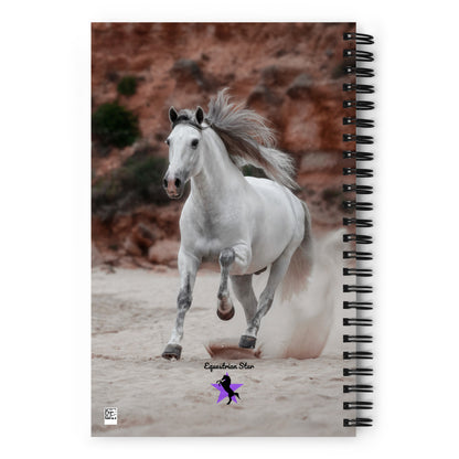Spiral notebook