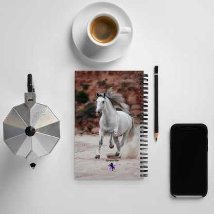 Spiral notebook