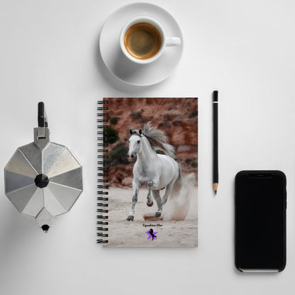Spiral notebook